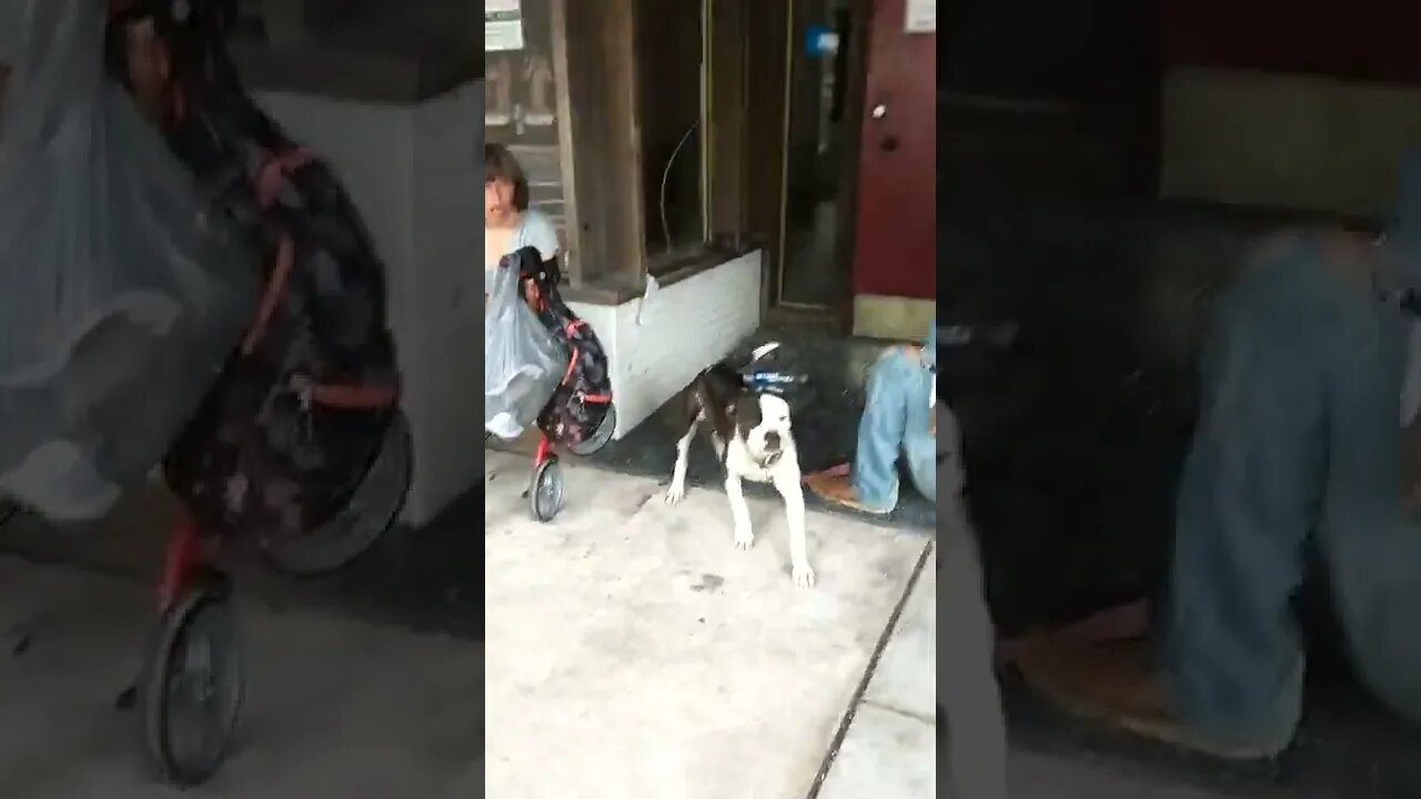 August 1, 2022.#gangstalking perp walk Pt. 2