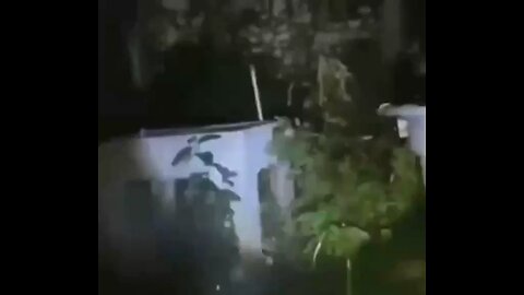 Man goes into his back yard to check out a strange noise, what is that?