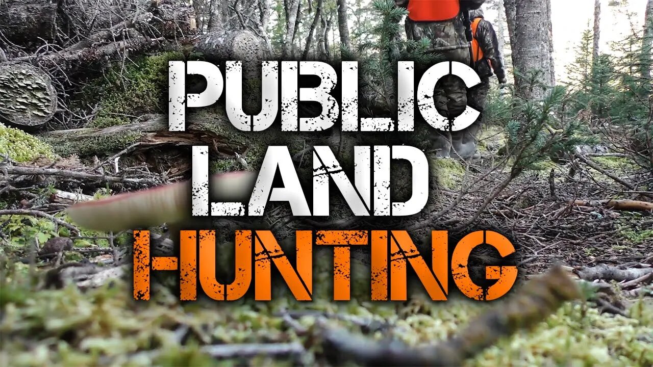 3 Must-Know Public Land Deer Hunting Tips