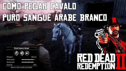 Como pegar cavalo puro sangue árabe branco | Red Dead Redemption 2