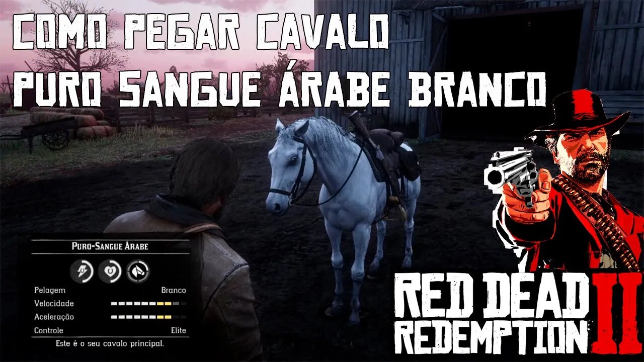 Como pegar cavalo puro sangue árabe branco | Red Dead Redemption 2