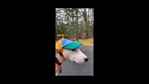 Best Funny Videos 🤣 - People Being Idiots | 😂 Try Not To Laugh - @xiyar TV