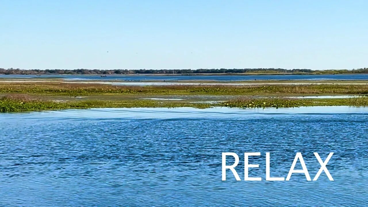 Relax by the Florida Waters