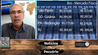 Boi gordo pressionado pela safra e dólar em queda