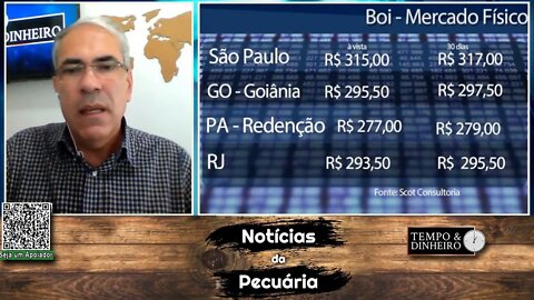 Boi gordo pressionado pela safra e dólar em queda