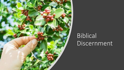 Biblical Discernment