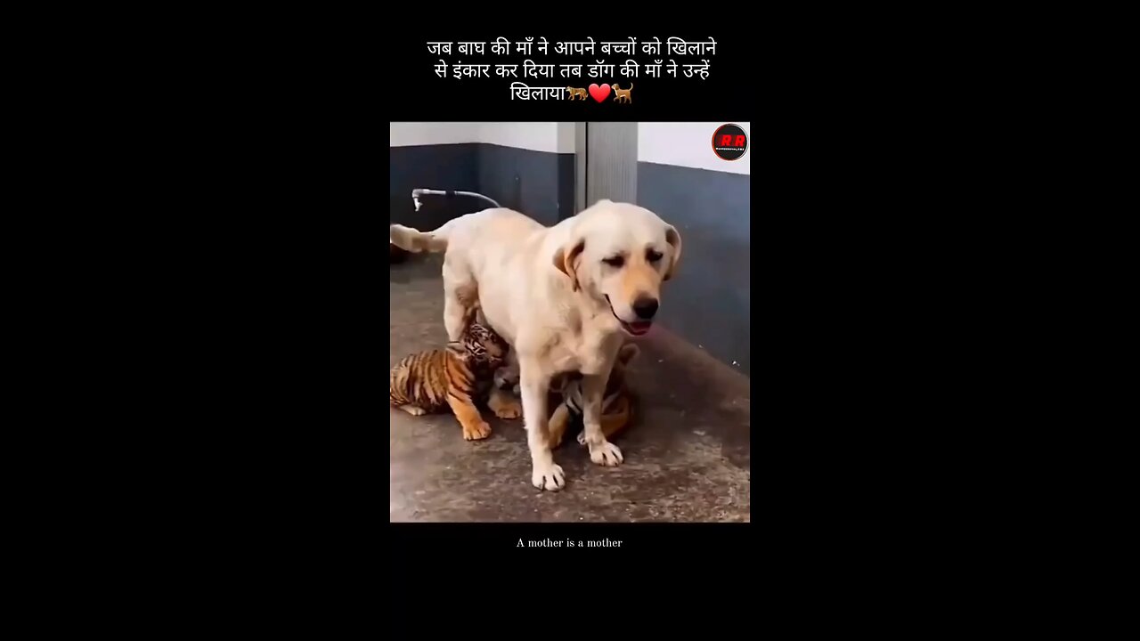 A Mother Is A Mother ♥️♥️