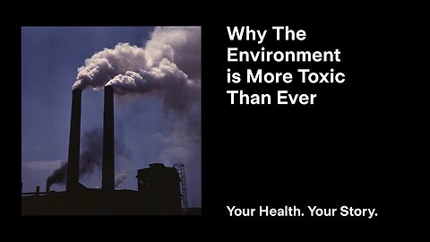 Why The Environment is More Toxic Than Ever
