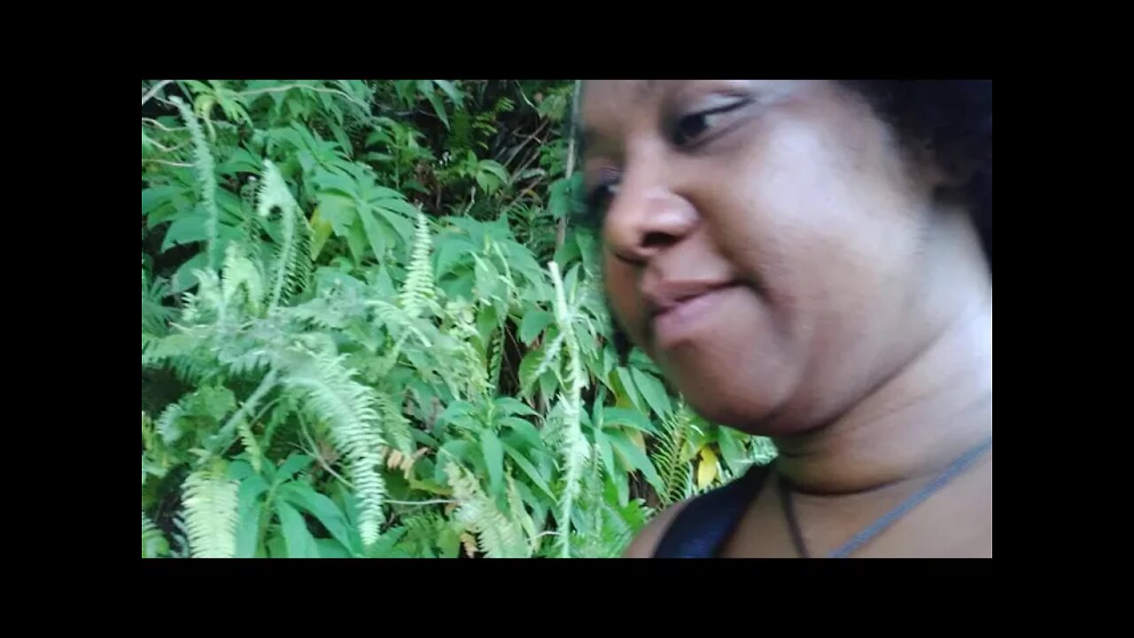 Releasing Weight, Food Addictions and Replenishing Self Love