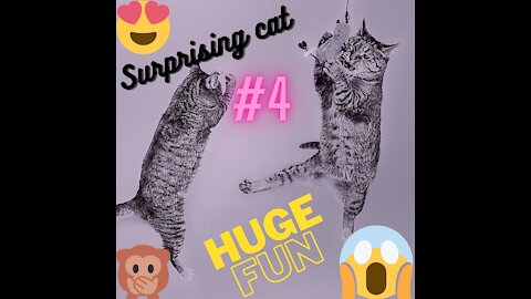 CAT LOL #1 4