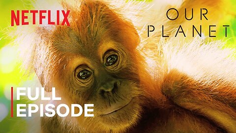 Our Planet Jungles FULL EPISODE Netflix Latest Update