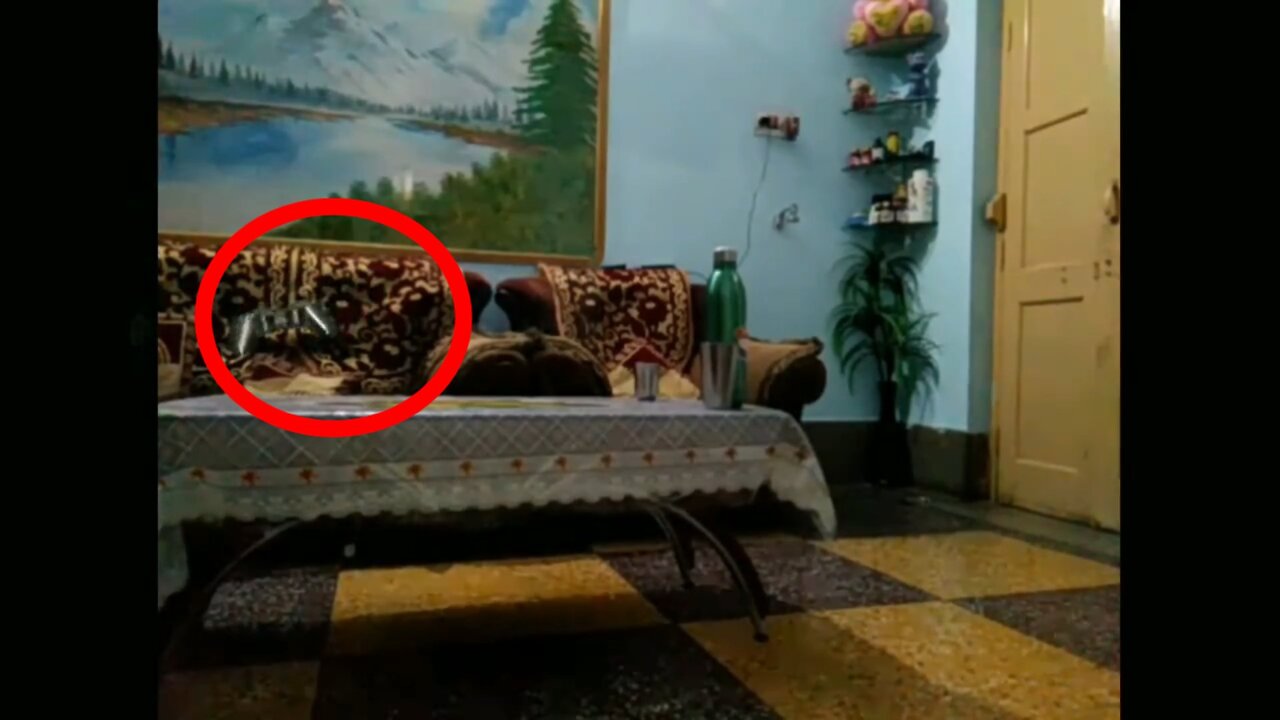 real or fake, strange events caught on camera