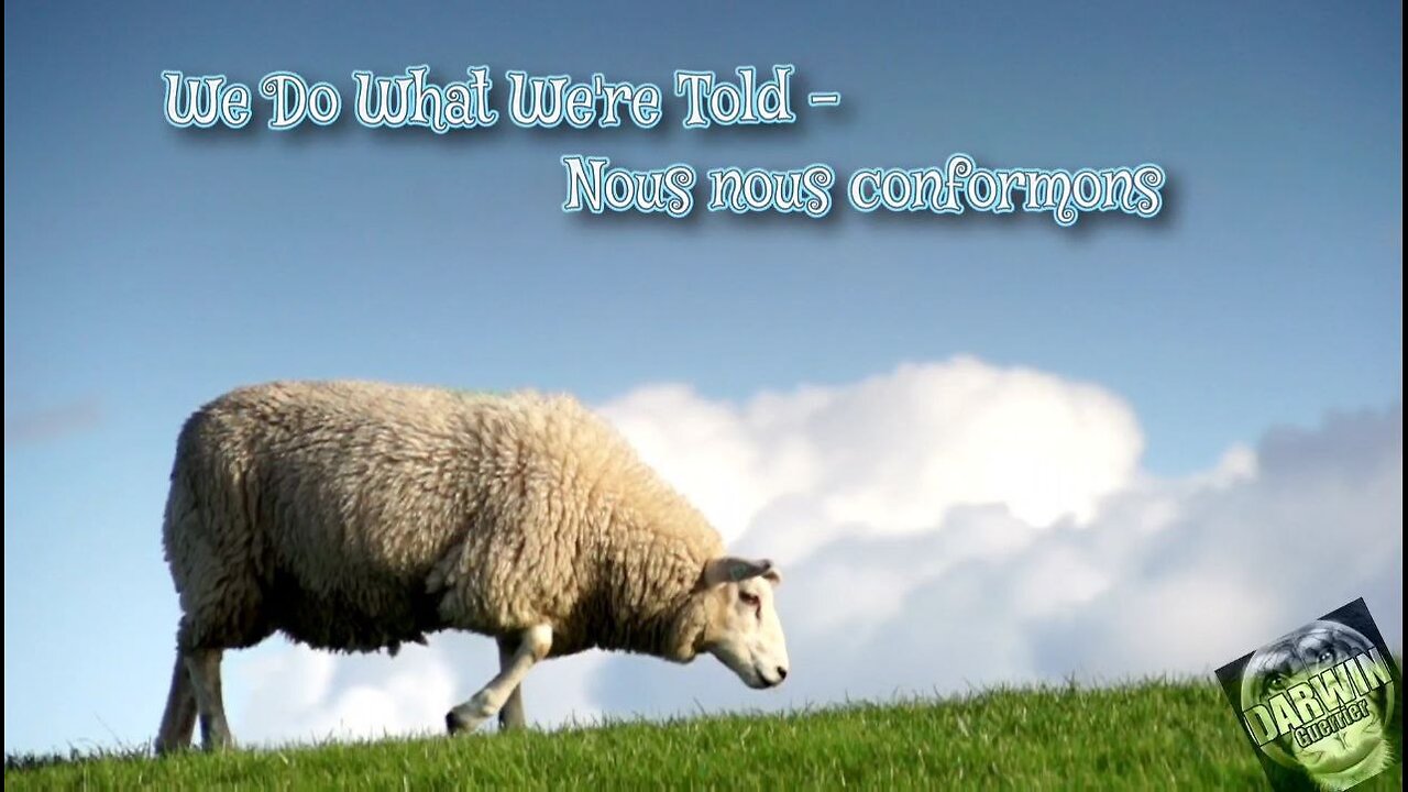 Nous nous conformons - We Do What We're Told 🐑🐑🐑