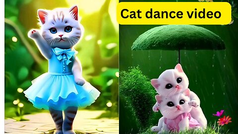 Adorable Cat Busts a Move to the Beat