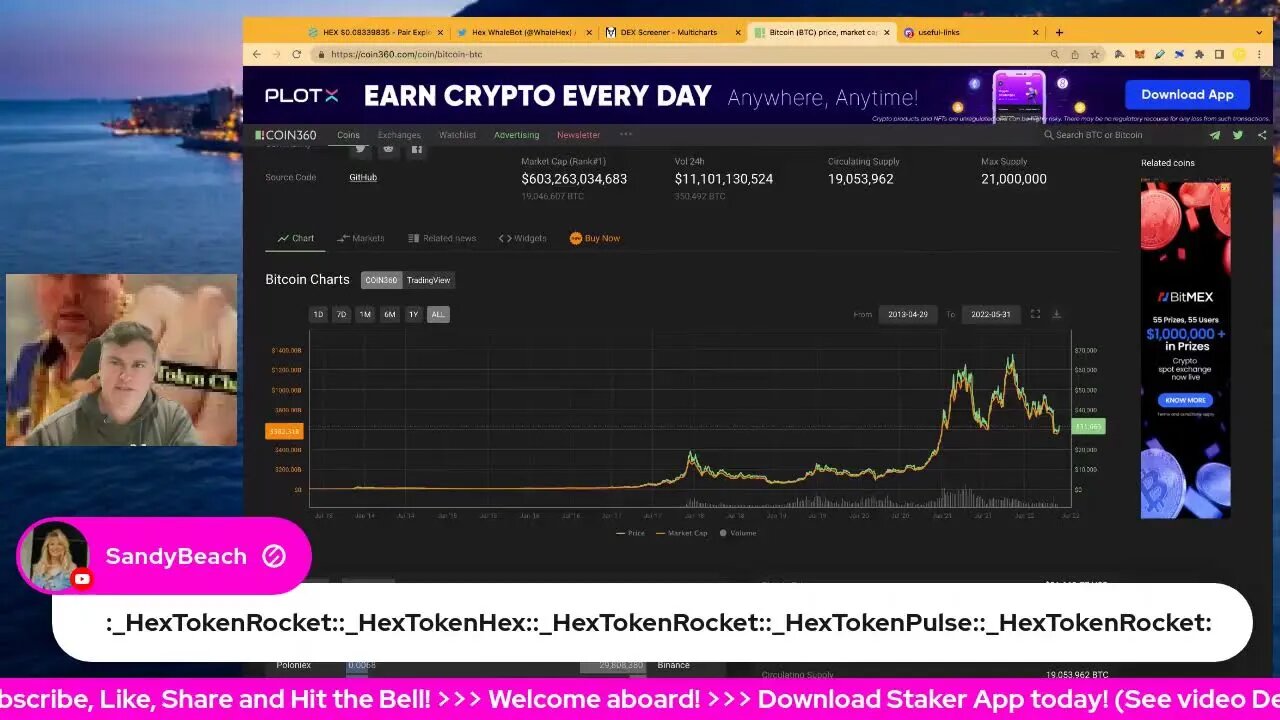 Hex Crypto Pump & Jump! PulseDogeCoin Moons! Maxi & Hedron! Crypto Market Update!