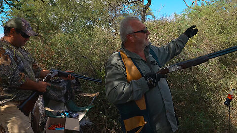 ARGENTINA DOVE HUNTING 2022: WHEN I DONT HIT THEM HARD