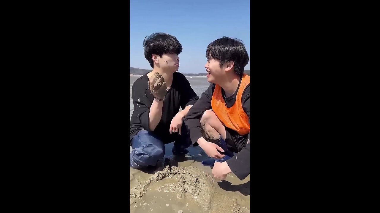 very funny videos