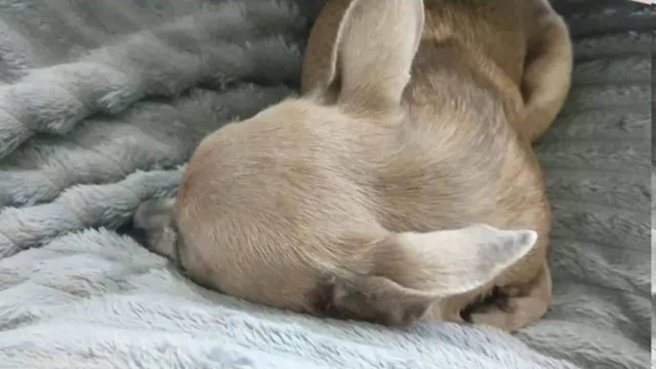 He does not like a stranger being in the room