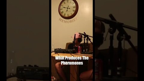 Pheromone Talk On The Forbidden Castle Podcast | Like, Comment, and Subscribe!