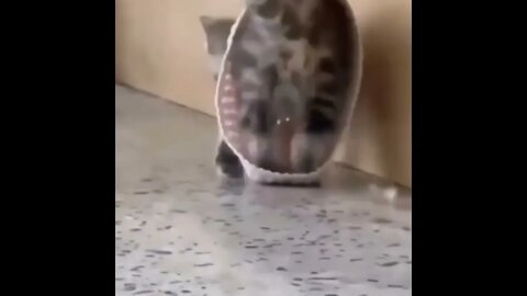 PLEASE SUBSCRIBE HELP ME POST MORE VIDEOS - #SHORTS