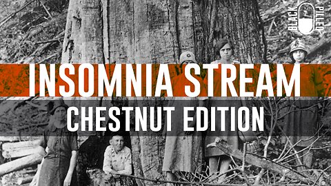 INSOMNIA STREAM: CHESTNUT EDITION