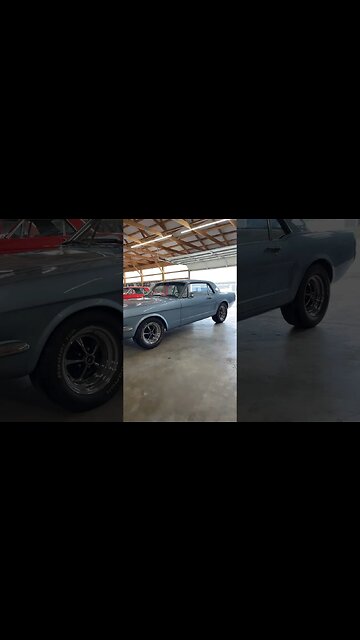 #ford #mustang #musclecar #classiccarsforsale #classiccars #carsforsale