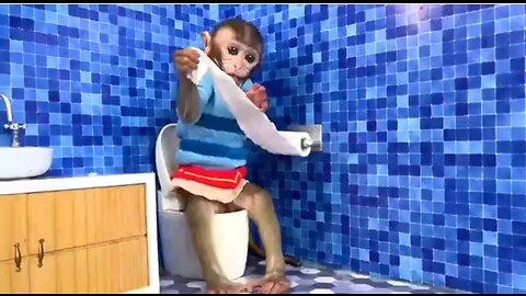 Full fanny video monkey 🐒 swimming 🏊‍♀️ 😄 🤣