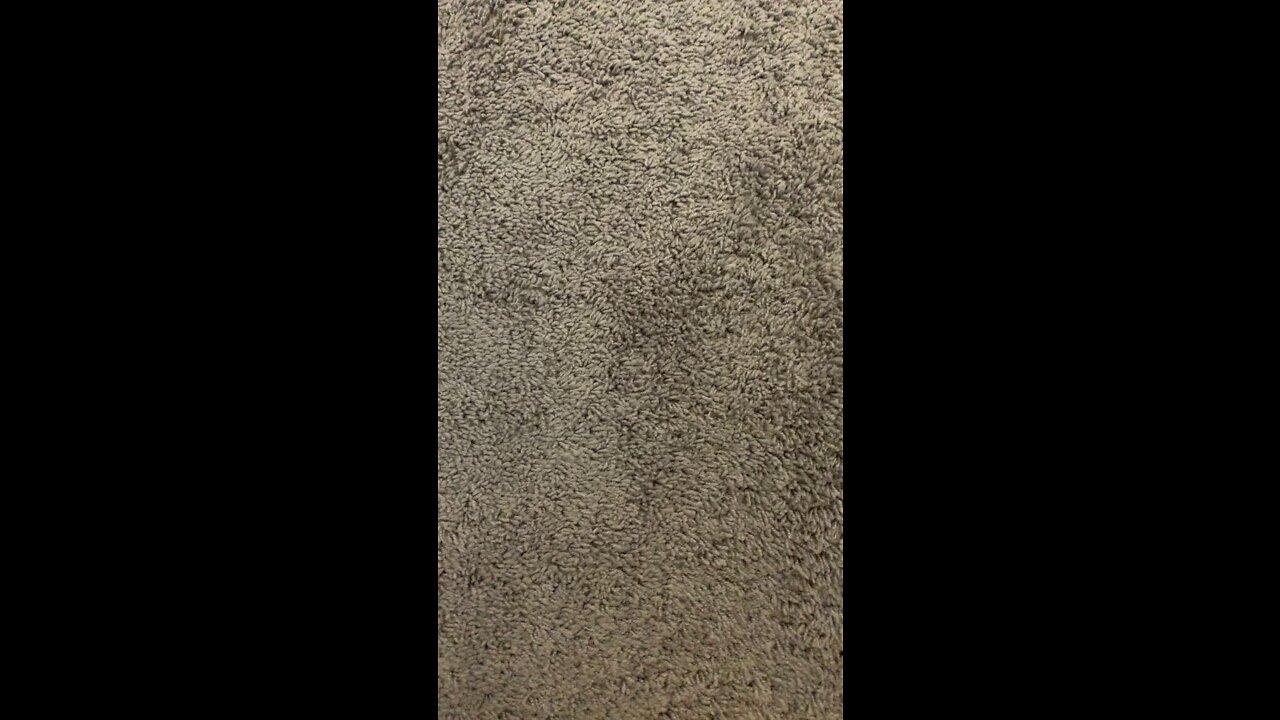 D64