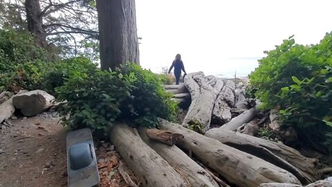 Juan de Fuca - China Beach Vancouver Island Tour