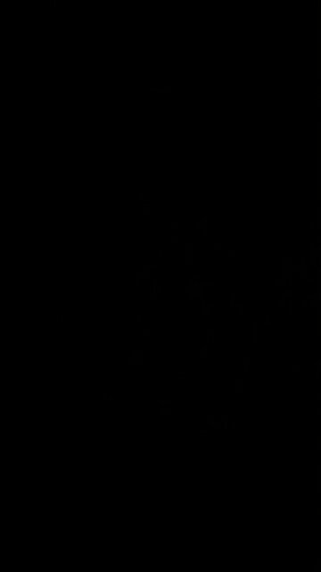 Stay away from social media like Facebook and Twitter