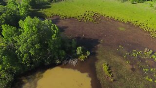 DJI FPV : CircleP (601)