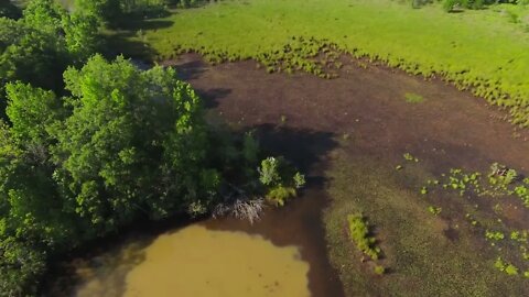 DJI FPV : CircleP (601)