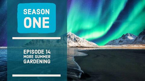 More Summer Gardening. Season 1 - Ep14.