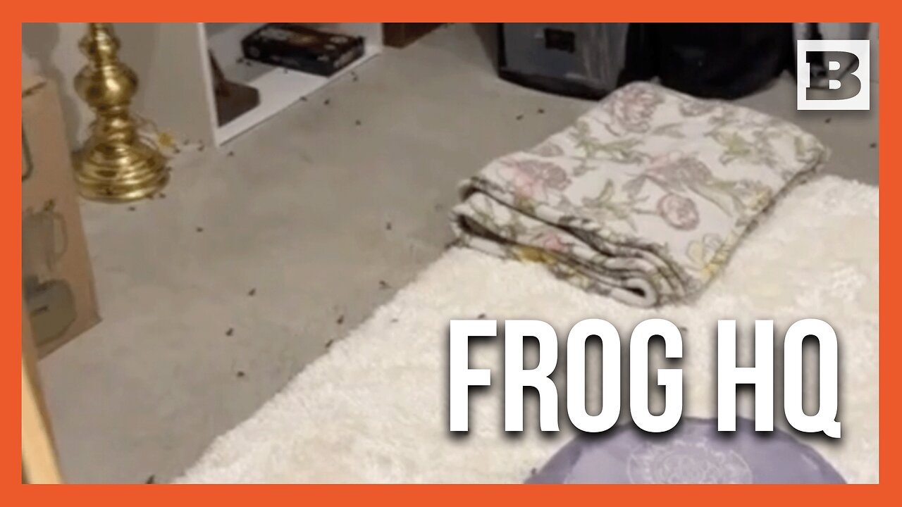 Florida Homeowner Finds Tiny Frog Frenzy in New Home