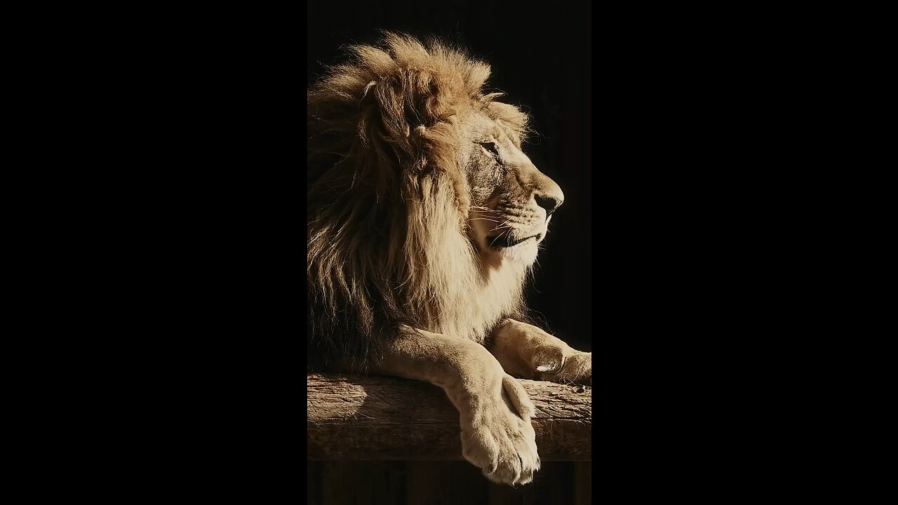 Remember who you are