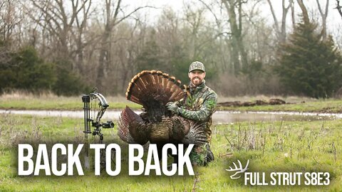 Angry Kansas Gobblers DESTROY the Decoy - Back to Back