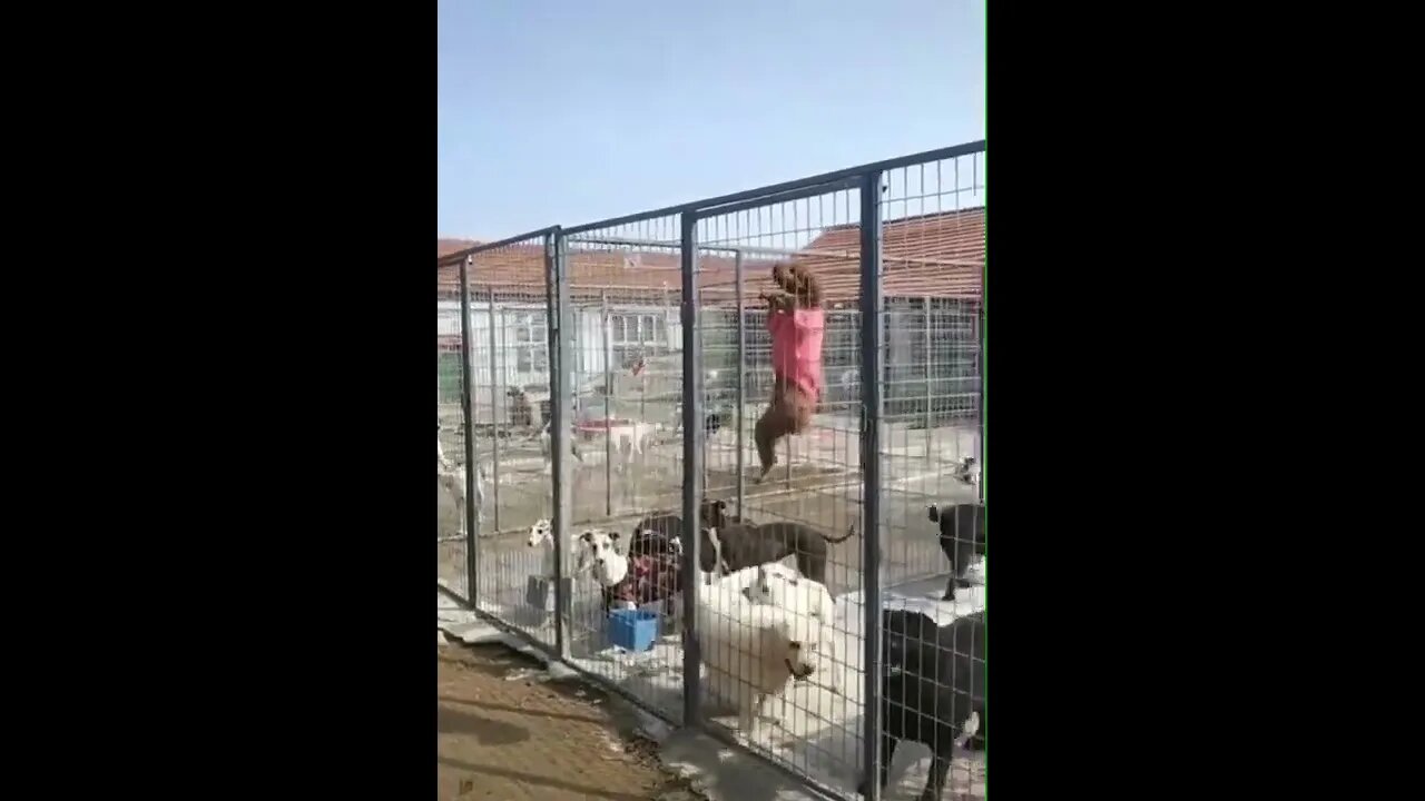 The rebellion started today..