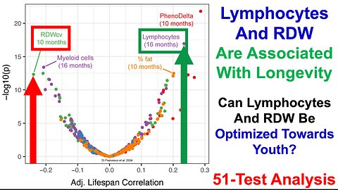 Can Lymphocytes And RDW Be Optimized Towards Youth? (51-Test Analysis)