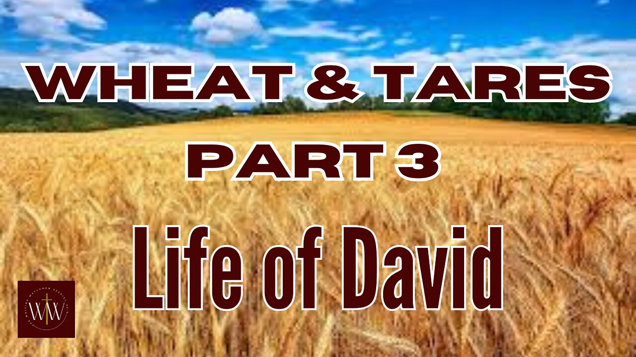 Wheat And Tares Part 3: Life Of David