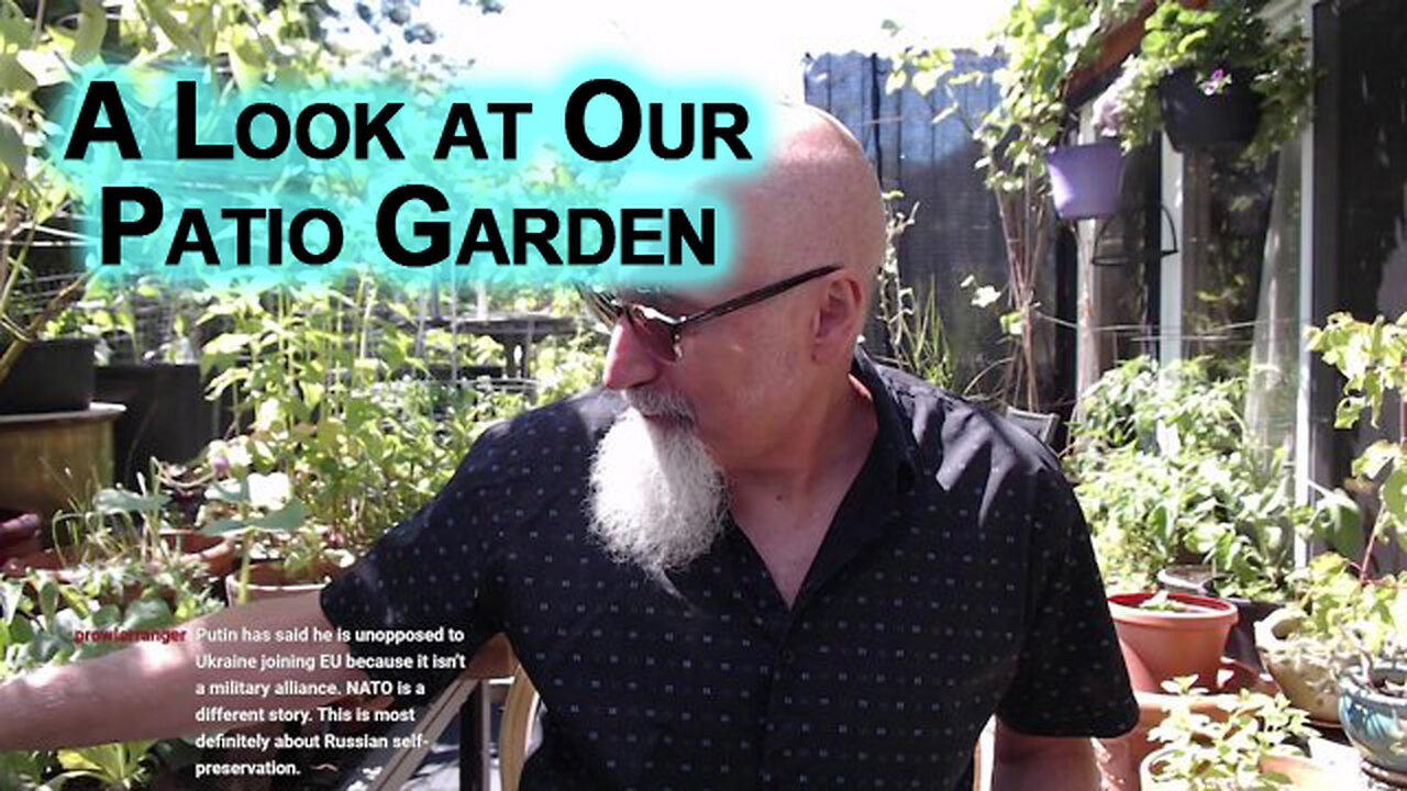 A Look at Our Patio Garden, and Chycho vs. the Brick [ASMR, Wind Gusts, Birds Chirping]