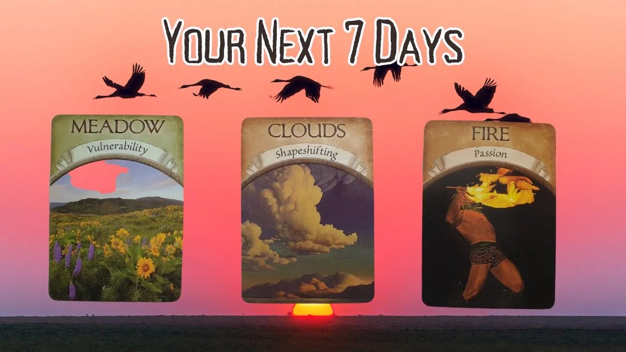 Your Next 7 Days Guidance | Pick A Card | Spiritual Guidance #tarotreading #guidancemessages