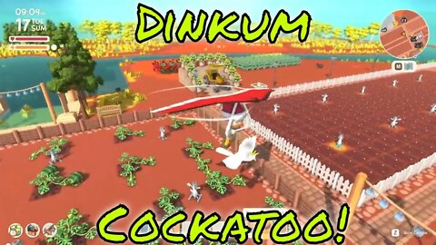 Dinkum How to Catch Cockatoo!