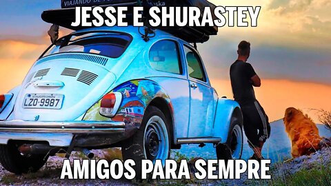 JESSE E SHURASTEY: AMIGOS PARA SEMPRE