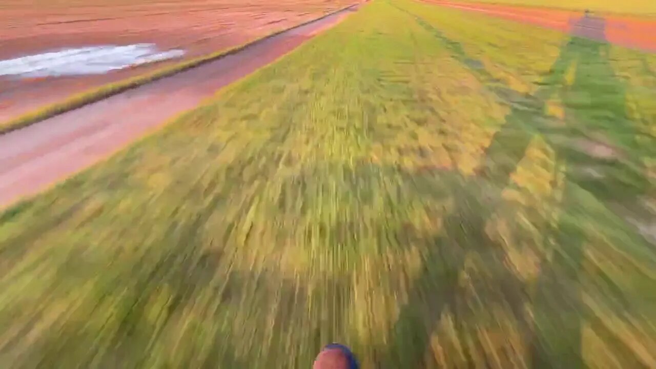 #Paramotor flight and at the end a foot drag to a landing - I Fly Paramotors