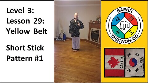 Baehr Taekwondo: 03-29: Yellow Belt: Short Stick - Pattern - 1