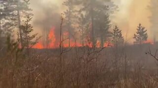 DNR video of Upland Fire