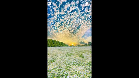 beautiful nature video