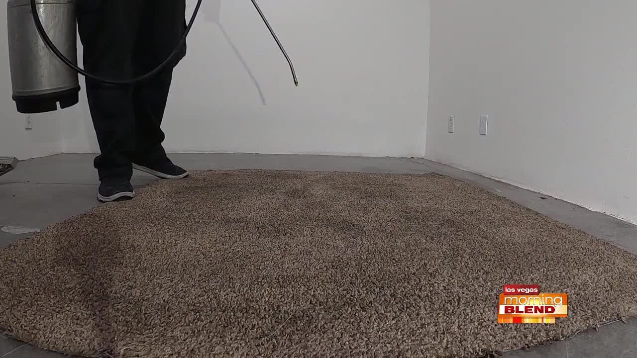 Cleaner Carpets, Cleaner Home