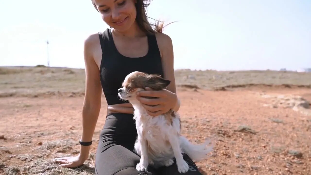 Young adult female spending summer day together with little chihuahua