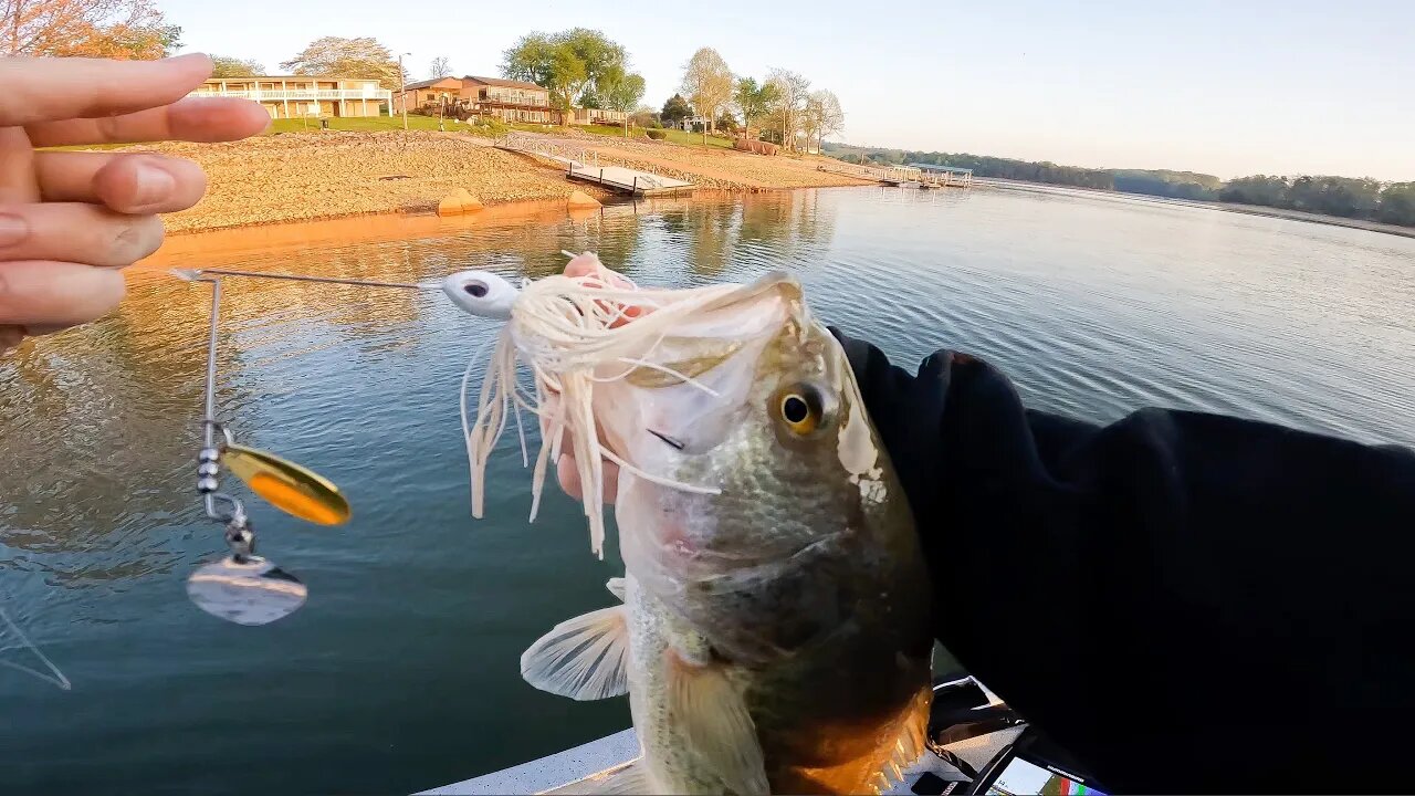 Fishing the NEW Berkley Power Blade!